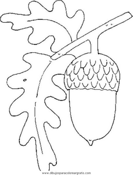 Дубовый лист трафарет