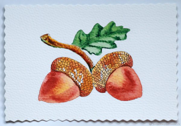 Желудь рисунок