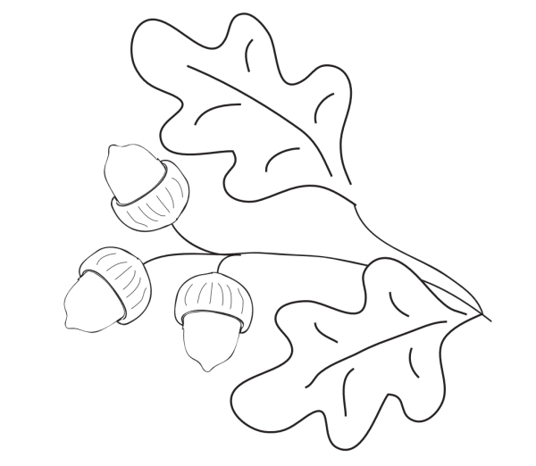 Дубовый лист раскраска