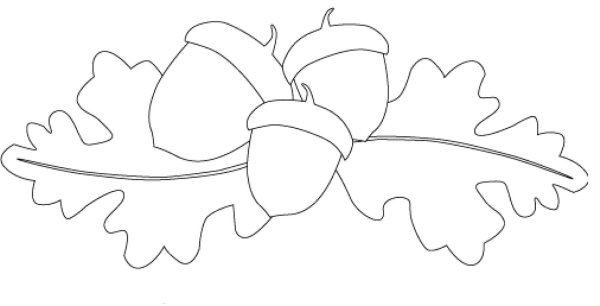 Желудь раскраска для детей