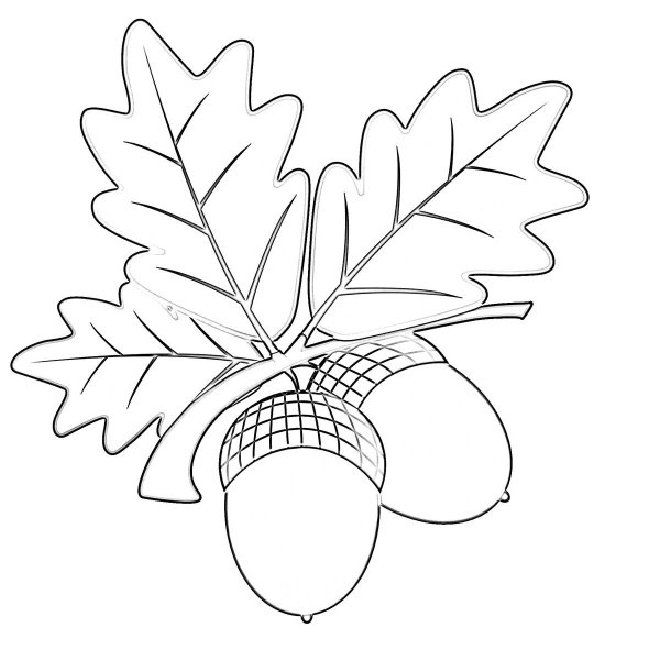 Дубовый лист трафарет