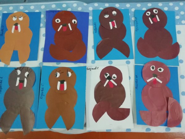 Аппликация в средней группе животные Арктики и Антарктики