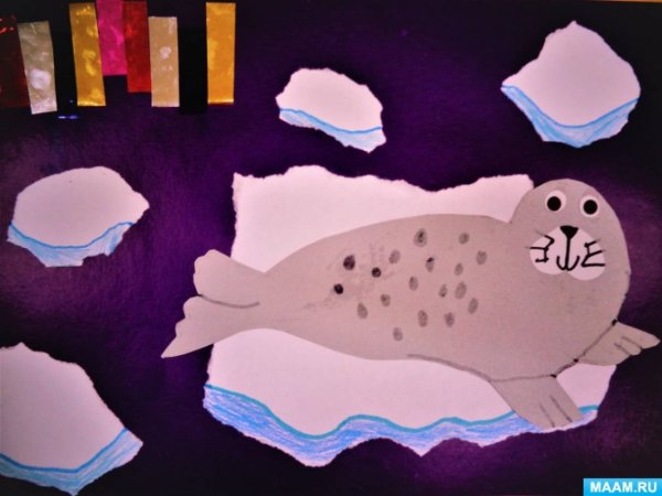 Аппликация тюлень подготовительная группа
