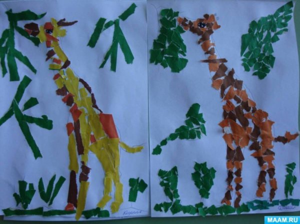 Аппликация животные жарких стран старшая группа