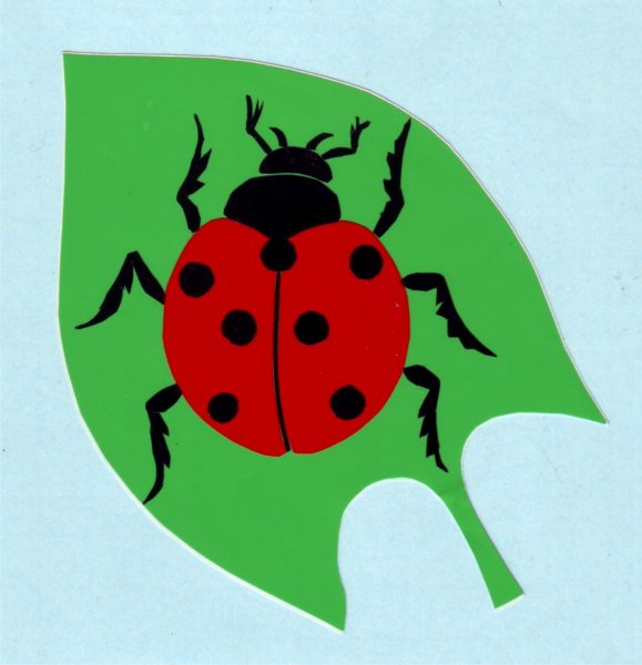 Разноцветные букашки аппликация