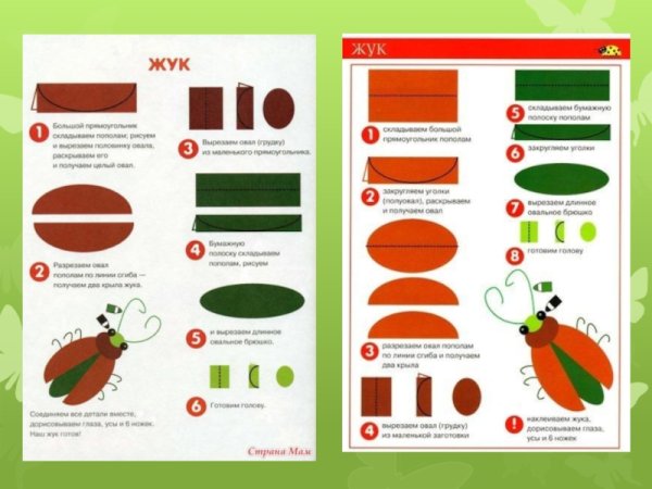 Аппликация Жук