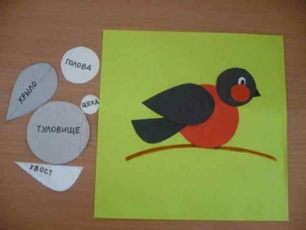 Аппликация в старшей группе на тему зимующие птицы