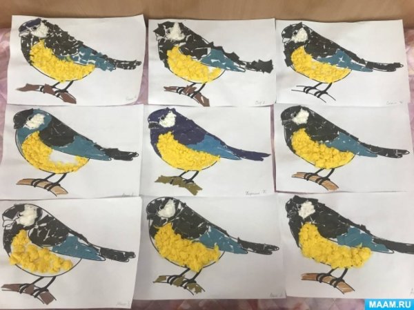 Аппликация синичка в подготовительной группе