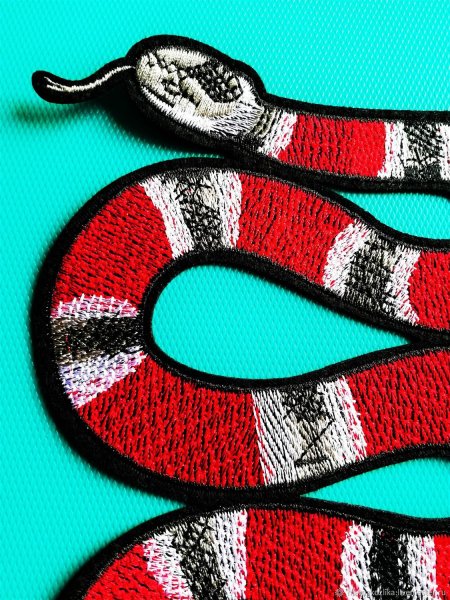 Аппликация змеи