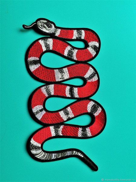Аппликация змеи