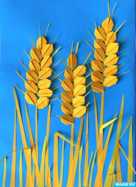 Рисование колосок старшая группа
