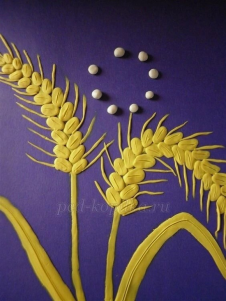 Пластилинография хлебный колосок