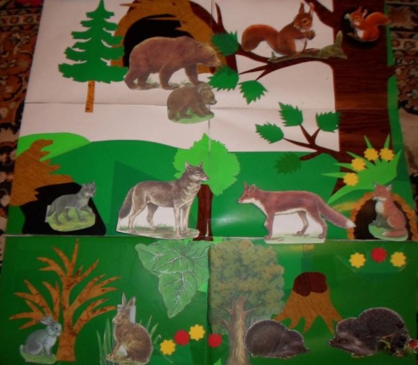 Дидактическое пособие Дикие животные