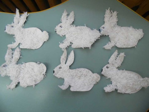 Аппликация Дикие животные средняя группа