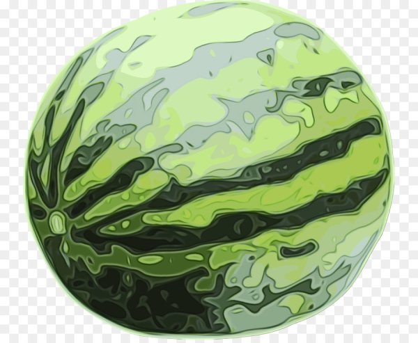 Арбуз растр