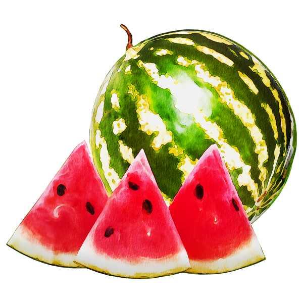Арбуз на прозрачном фоне