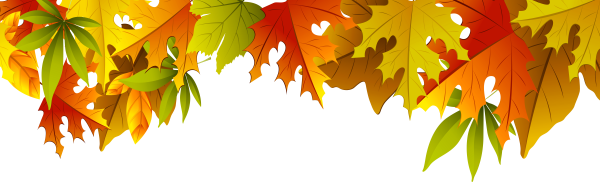Осенние листья вектор