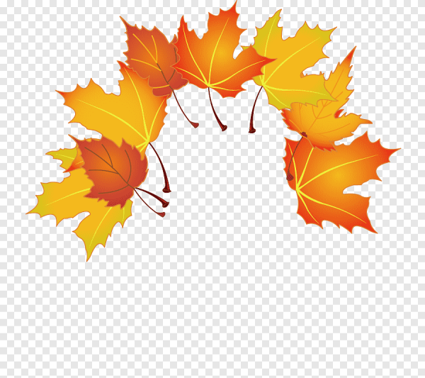 Венок из кленовых листьев на прозрачном фоне