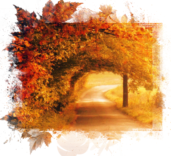 Осень на прозрачном фоне