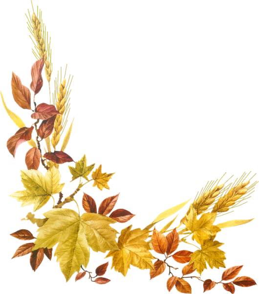 Осенний уголок