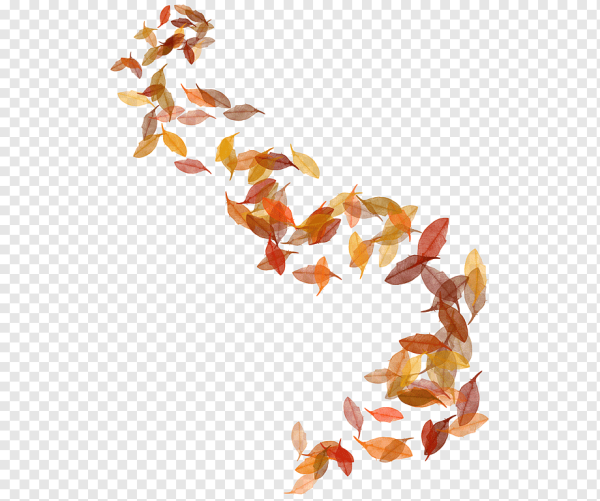 Осенняя листва на прозрачном фоне