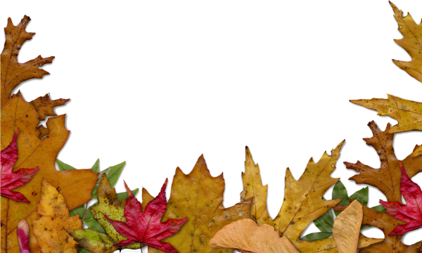 Рамка из осенних листьев