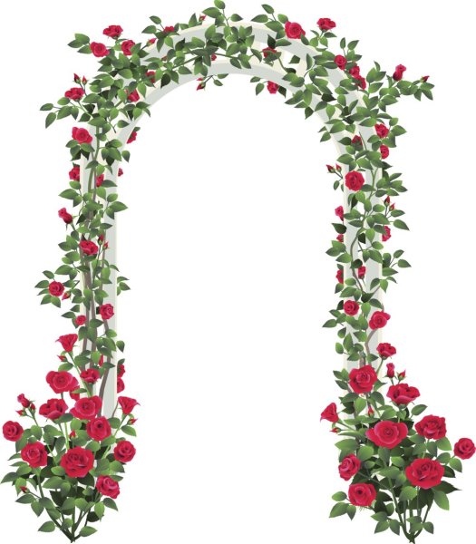 Арка из цветов на белом фоне