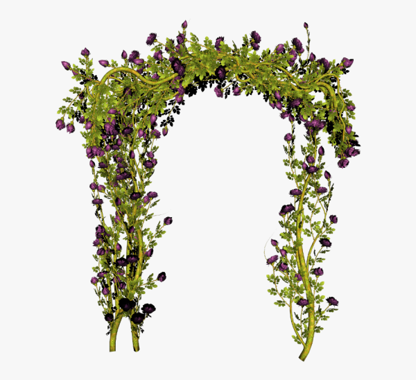 Цветочная арка на прозрачном фоне