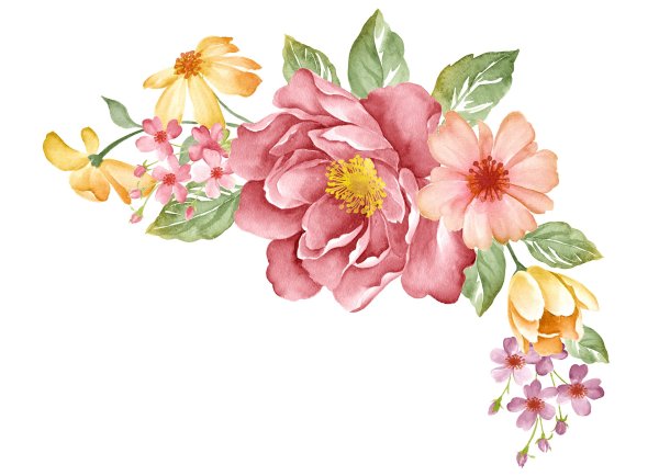 Цветы на прозрачном фоне