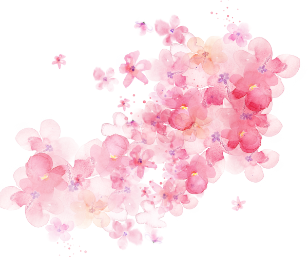 Розовые цветы на прозрачном фоне