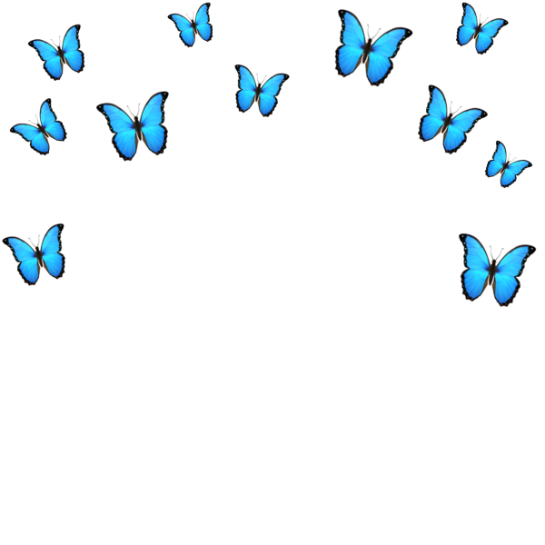 Стикер бабочка на прозрачном фоне