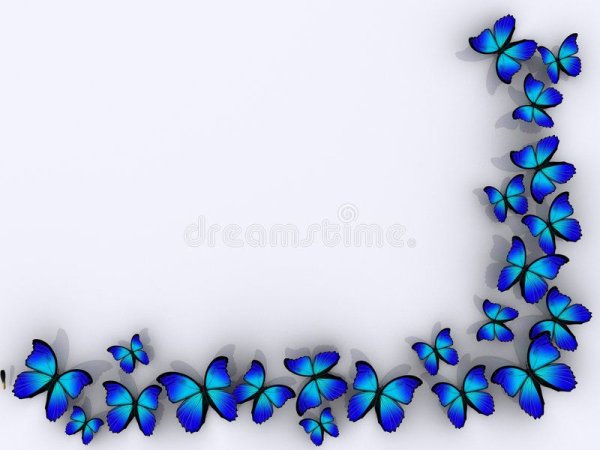 Рамки бабочки прямоугольные