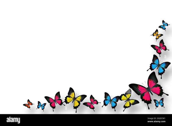 Бордюр из бабочек на прозрачном фоне
