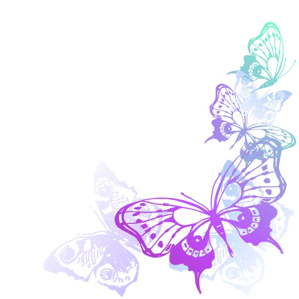 Рамка с бабочками на прозрачном фоне