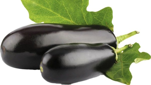 Баклажан на прозрачном фоне