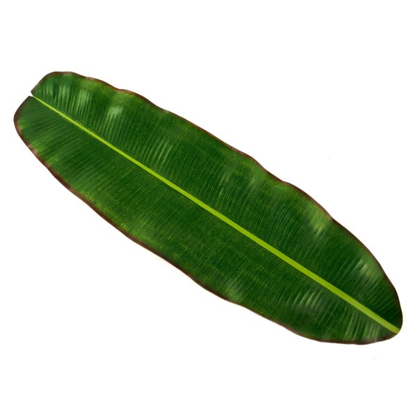 Листья бананового дерева
