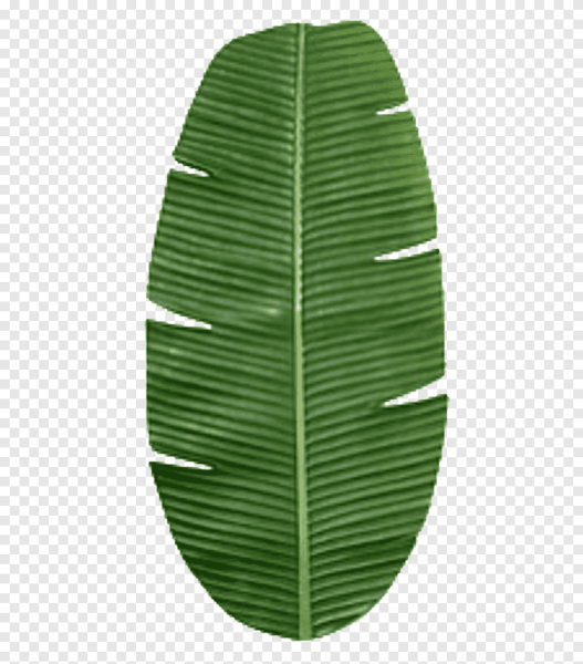 Листья банана