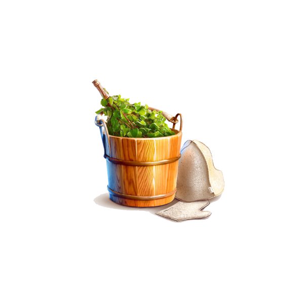 Банное ведро с веником