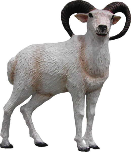 Баран на прозрачном фоне