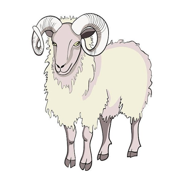Баран для детей без фона