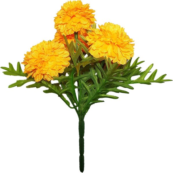 Бархатцы для детей