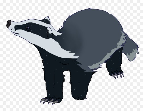 Барсук без фона