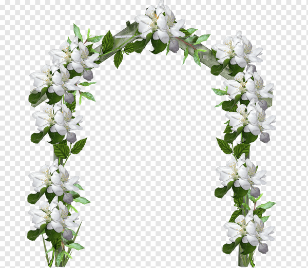 Цветочная арка на белом фоне