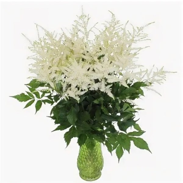 Астильба в букете