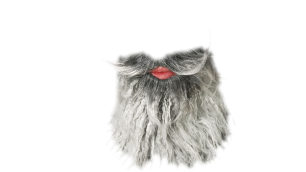 Седая борода без фона