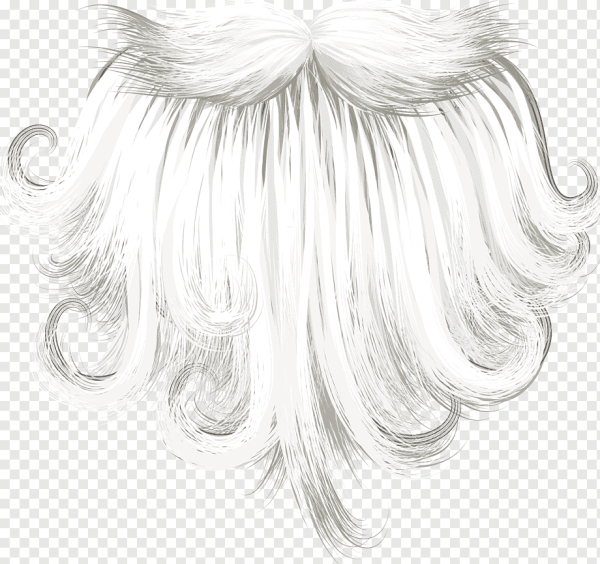 Борода Деда Мороза