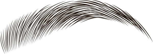 Брови без фона