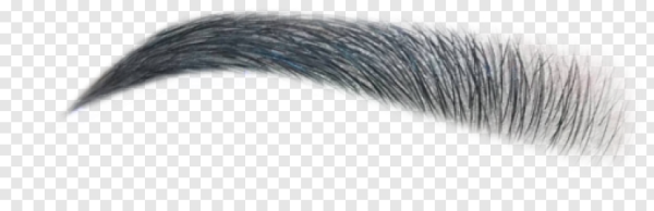 Брови без фона