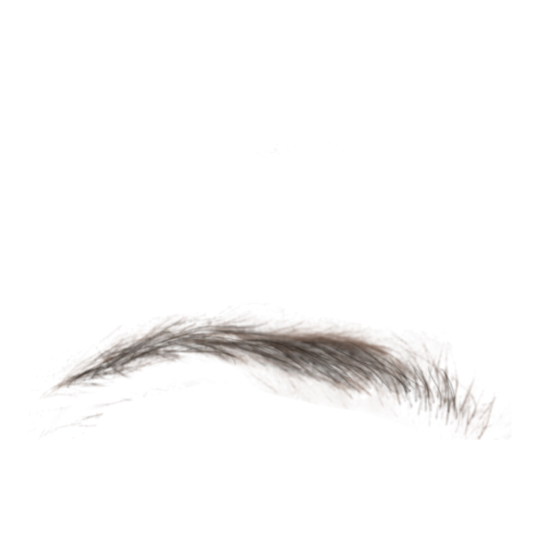 Брови для фотошопа на прозрачном