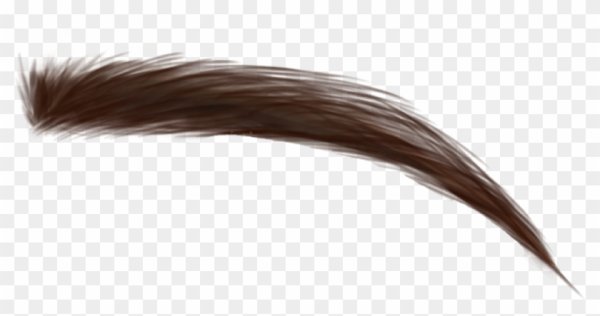 Брови на белом фоне